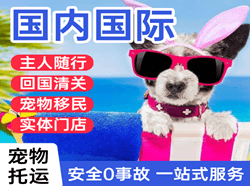 哈密伊州机场空运国际宠物托运 【国